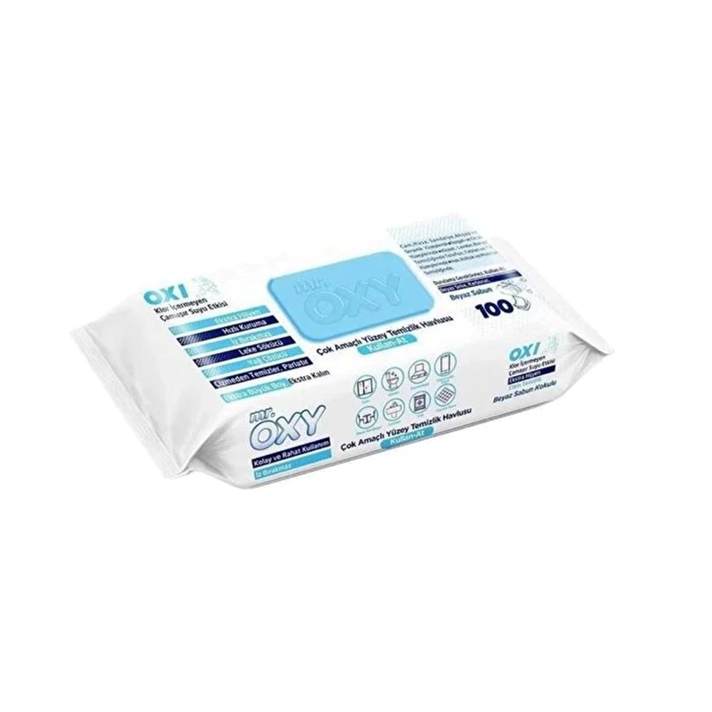 Islak Mendil Yüzey 100lü Oxy *12