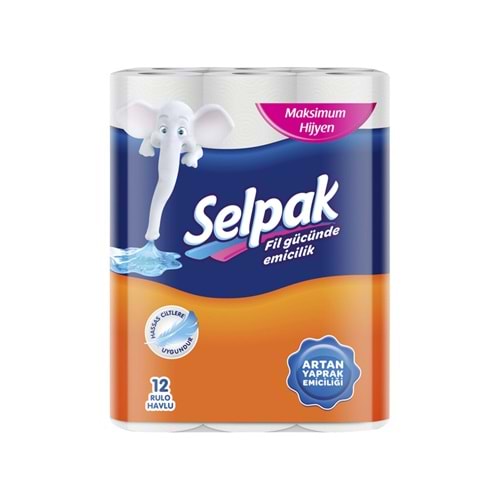 Havlu Rulo Ev Tipi 3 Katlı 12li Selpak