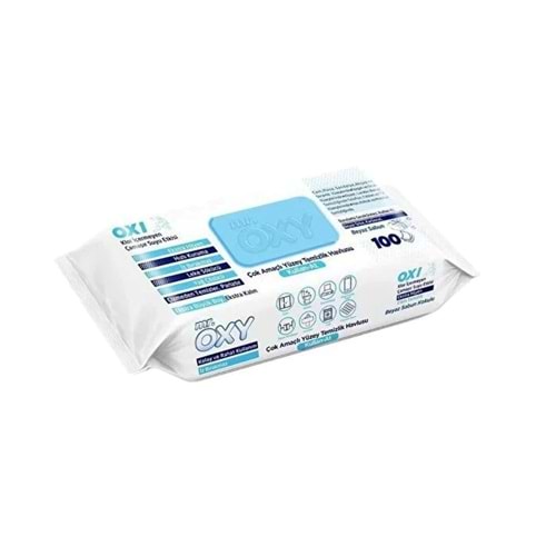 Islak Mendil Yüzey 100lü Oxy *12