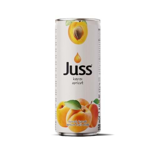 Meyve Suyu Kayısı 250ml Teneke Kutu 24lü Juss