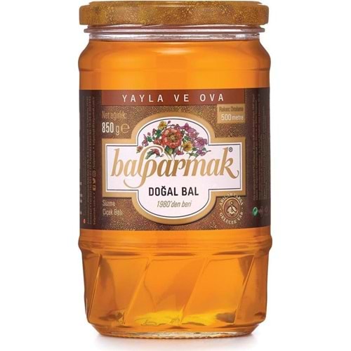 Bal 850gr Balparmak